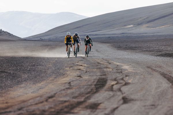 DIVERGE COMP CARBON Gravelbike / satin olive oak chrome wild / 56 CM