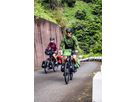 ULTIMATE SIX PLUS Lenkertasche / kiwi - moss green / 6.5L