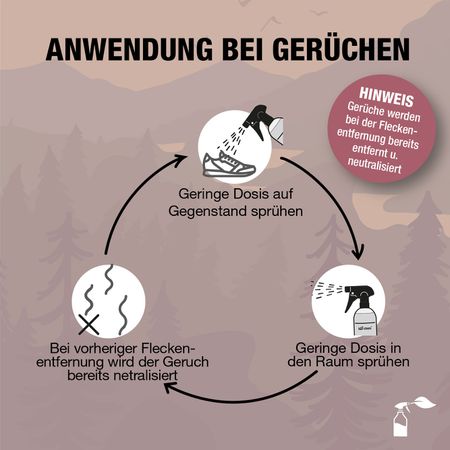 Bio-Chem Geruchs- und Fleckenentferner