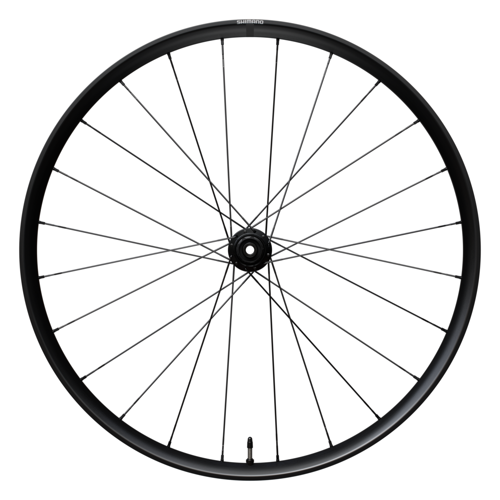 WH-RX180 Hinterrad 28", Achse 12mm / schwarz / HG L 2x12,  DB CL, 142mm