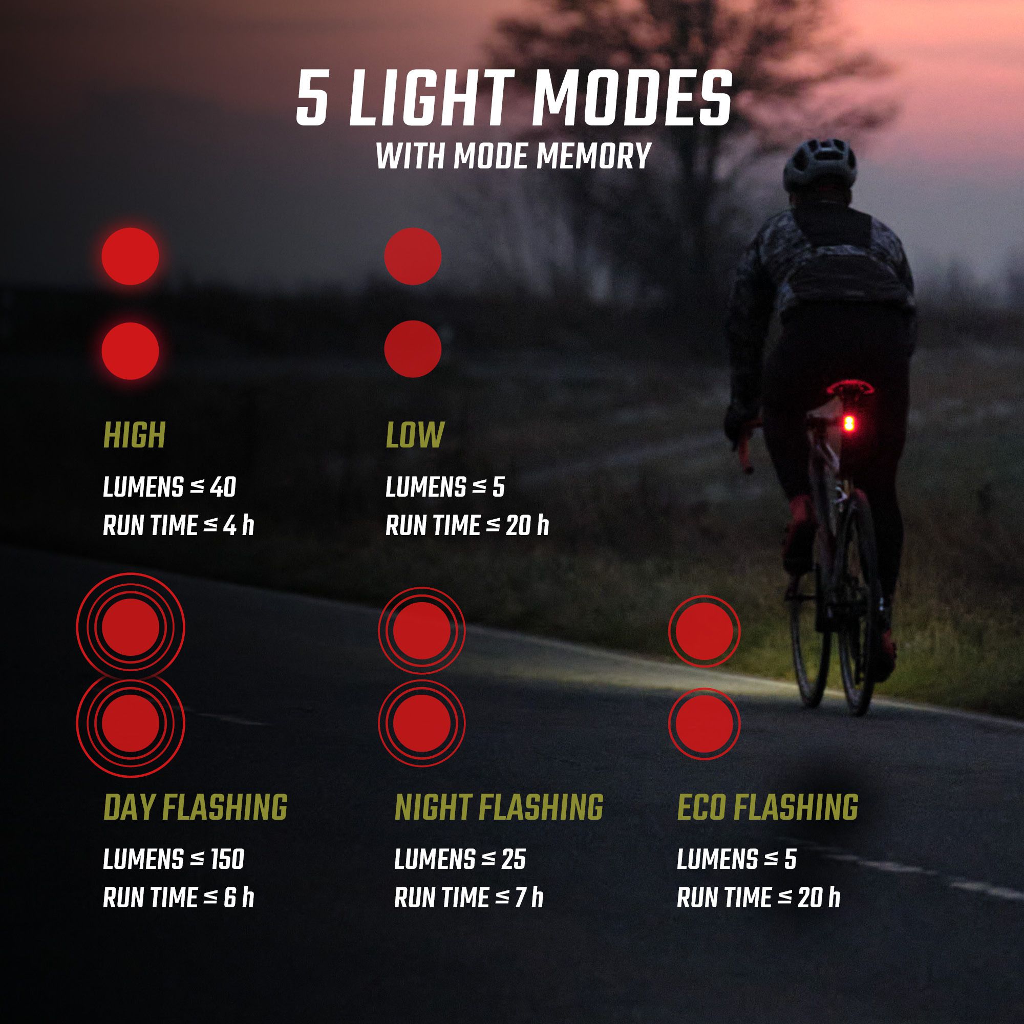 Sigma Lichtset Buster 800 FL & Buster RL 150 / schwarz