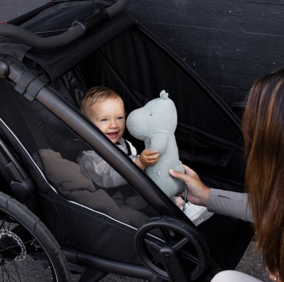 THULE CHARIOT SPORT 2 Gen. 2 Kinderanhänger / black