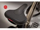 BOOST 10D CX Step Through E-Cargobikes 25km/h / wasabi green