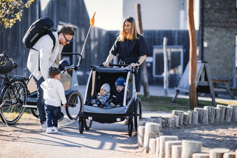 THULE COURIER 2 "3in1" Kinder-, Transport- und Hundeanhänger / blau
