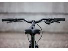 CUMPAN PATRUN City- und Alltagsvelo / kieferngrün / M