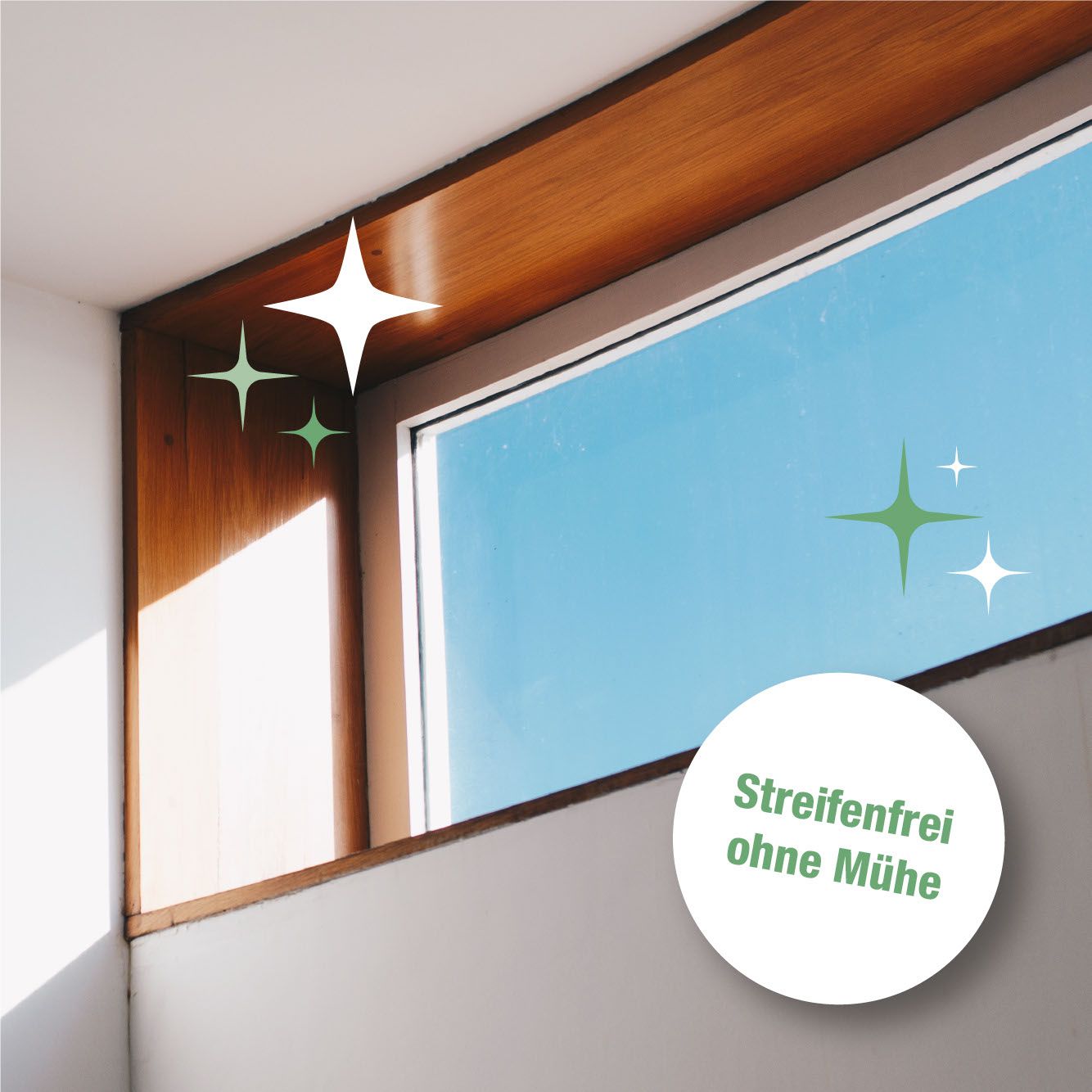 Bio-Chem Glasreiniger