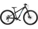 HILL BILL 26 MK3 Jugendvelo / black / 26 ZOLL