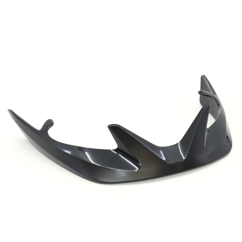 Vasona Hale Visor / black/black