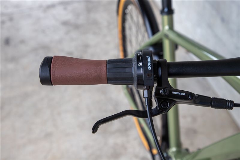 DAILY QUEST Pinion City- und Alltagsvelo / grün / 58 CM