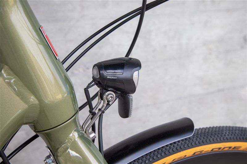 DAILY QUEST Pinion City- und Alltagsvelo / grün / 58 CM