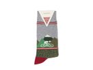 Gottardo Socks 2024 / green / 35-38