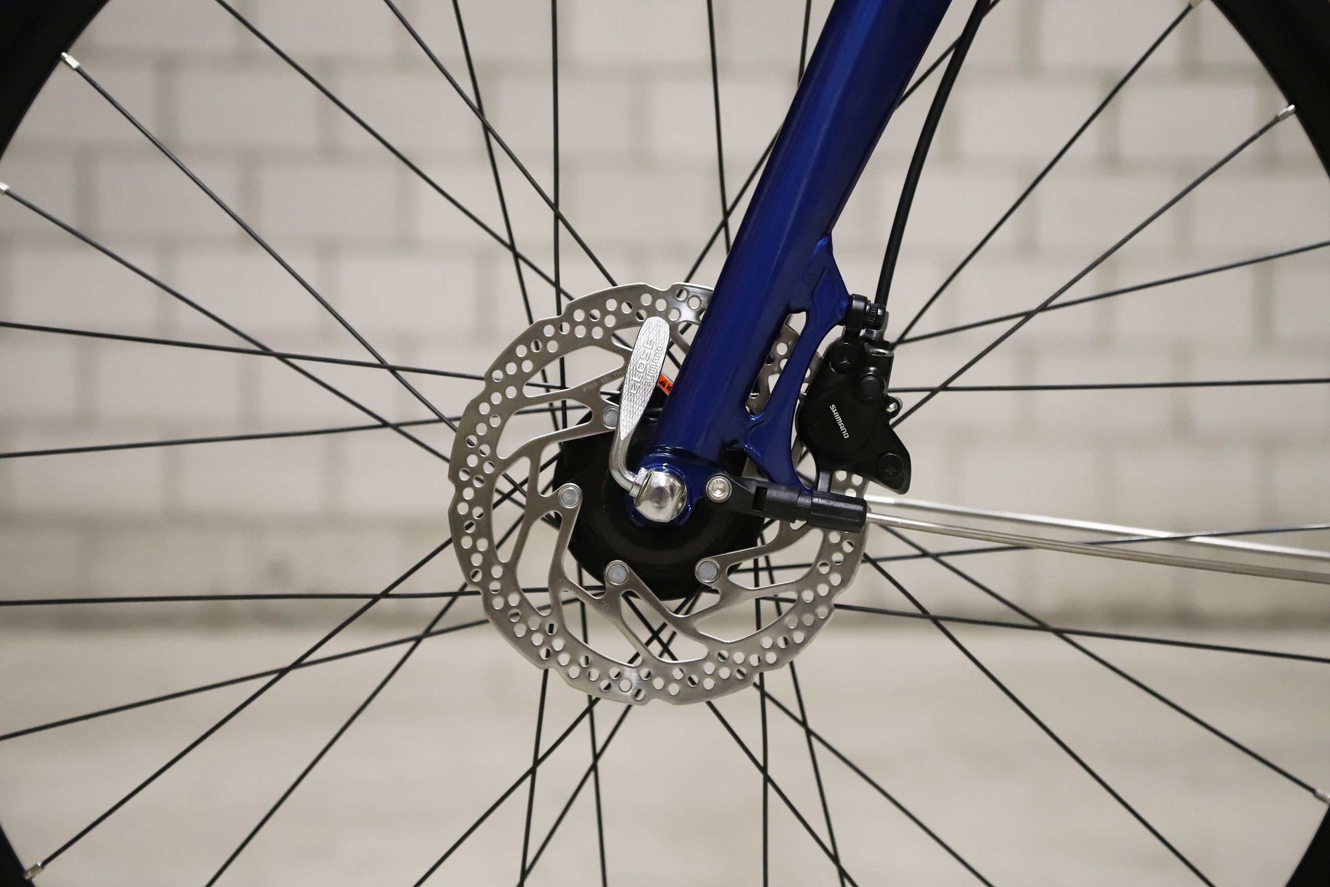 DAILY QUEST Pinion City- und Alltagsvelo / saphir blau glanz / 53 CM