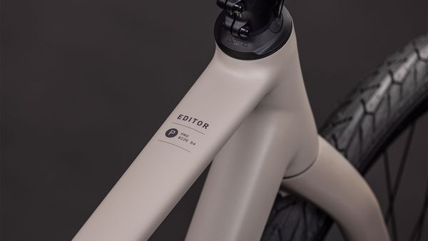 EDITOR PRO City- und Alltagsvelo / oatgrey / 54 CM
