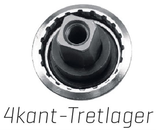 KURBELSCHRAUBEN M8x15mm für 4kant-Tretlager mit Staubkappe / silber schwarz